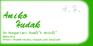 aniko hudak business card